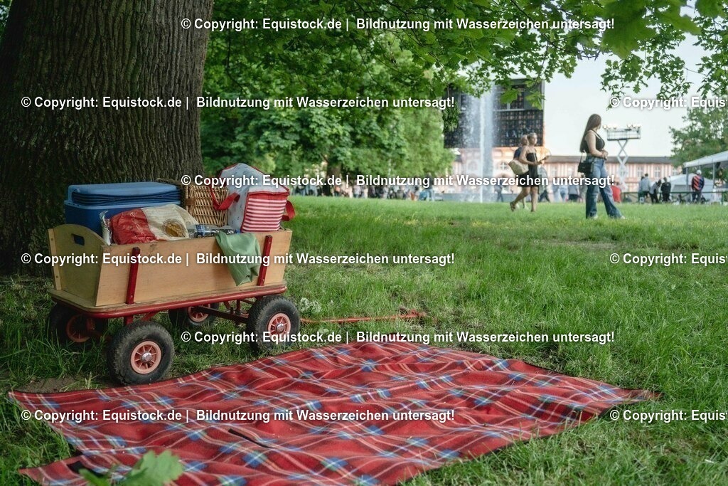 ZFC_4167 | equistock