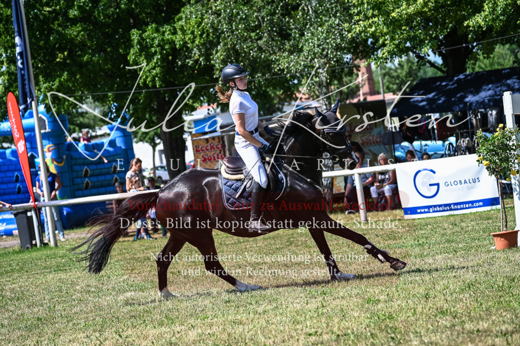 DSC_1011 | Pferde- und Turnierfotografie in Westsachsen. Pferdeportraits, Auftragszeichnungen und intuitive Kunst.