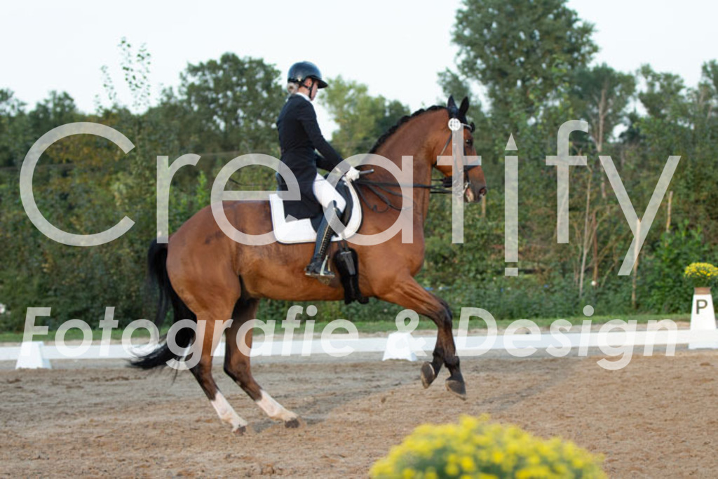 IMG_6781 | Creatify Fotografie