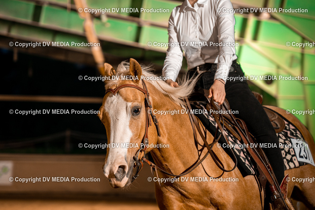 BA301469 | dv-media-shop - Realisiert mit Pictrs.com