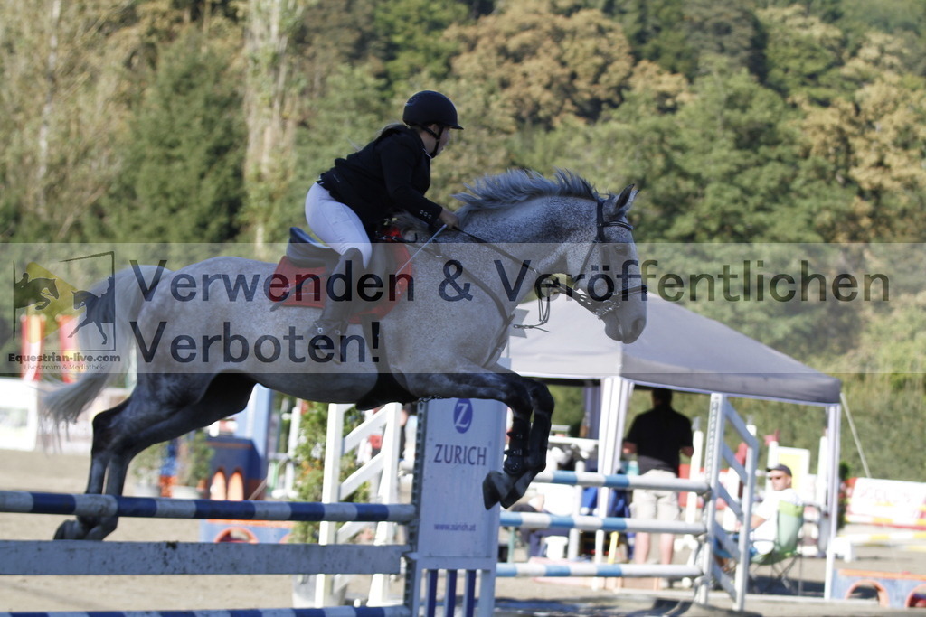 _MG_4338 | equestrian-live-com