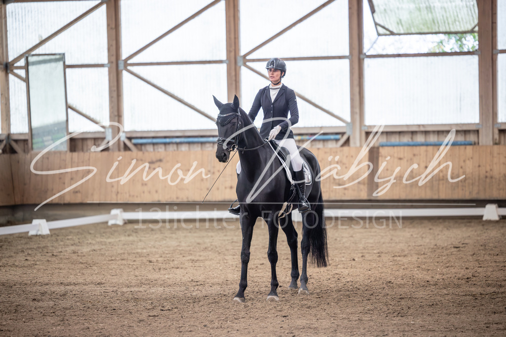 20251011-_3LI1526 | Tierfotografie Pferde, Hunde, Katzen, Haustiere.
Turnierfotografie Reitturniere, Reiten, Springreiten, Dressur in Hanau, dem Main-Kinzig-Kreis und dem Rhein-Main- Gebiet um Frankfurt