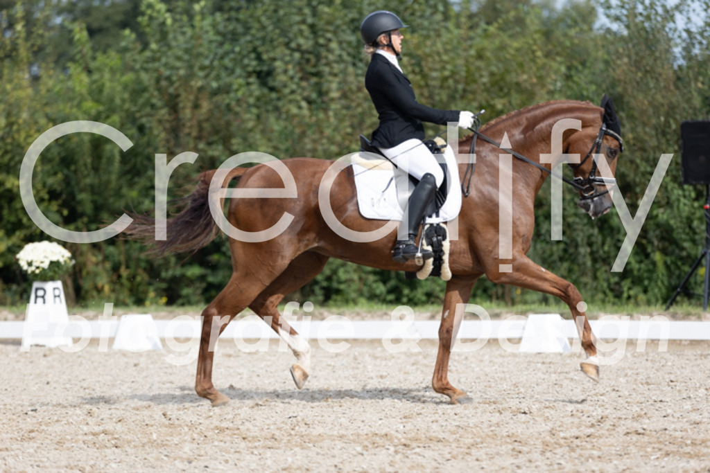 IMG_4201 | Creatify Fotografie