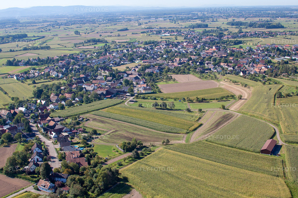 Luftbild: Ortsansicht von Norden im Ortsteil Legelshurst in Willstätt im Bundesland Baden-Württemberg in Deutschland. Foto: IMG_20658.jpg vom 31.08.2009 durch Werner Riehm/FLY-FOTO.de