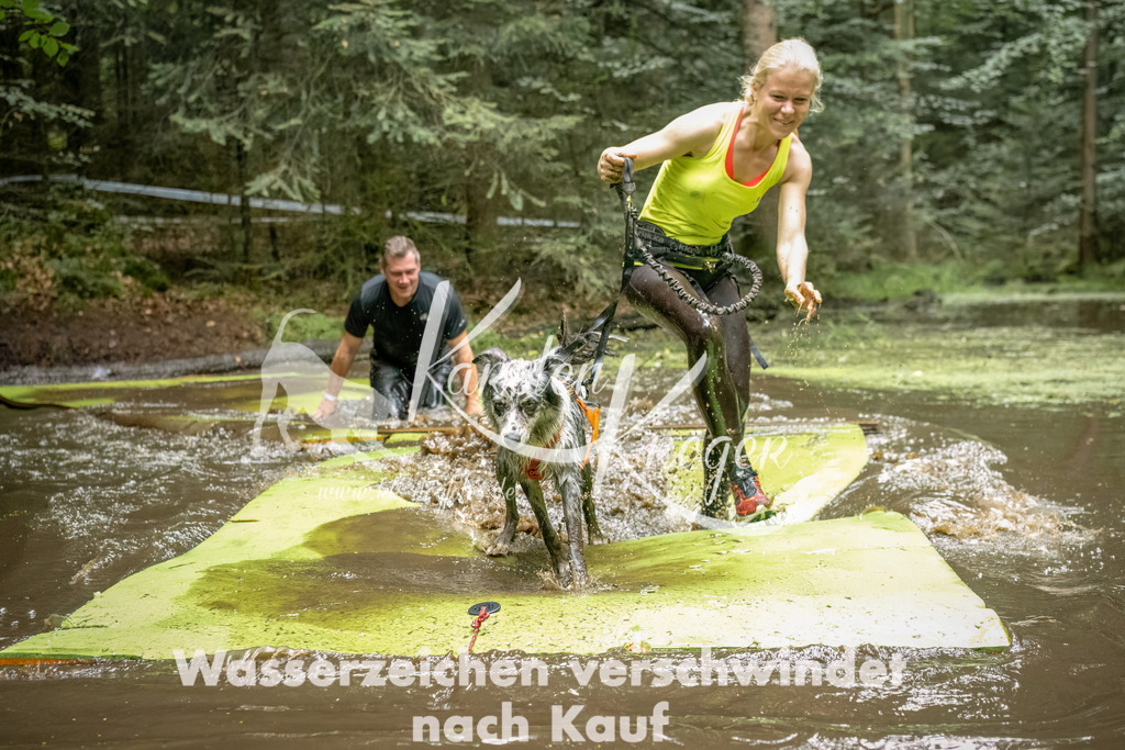 1501_ZZ94374-Bearbeitet | kk-dogfotos