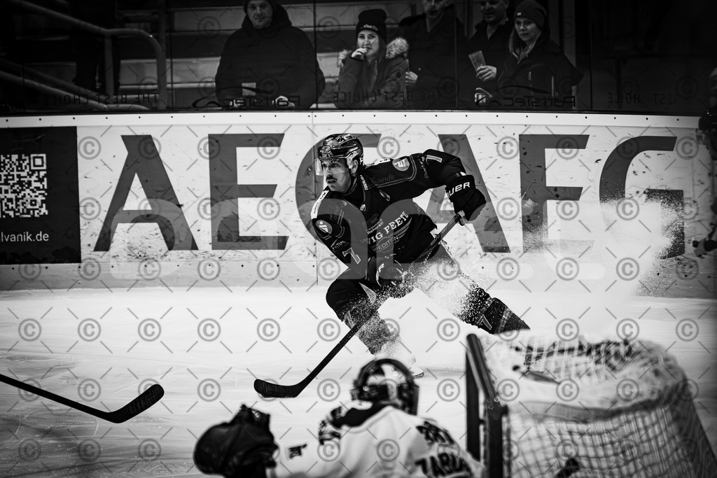 Alligators_vs_Erding_12_12_2025-182 | Höchstadt Alligators Fotogalerie: Eishockey-Action aus Franken. Professionelle Spielfotos, Portraits & Stadionbilder zum Download. Jetzt entdecken! - Realisiert mit Pictrs.com