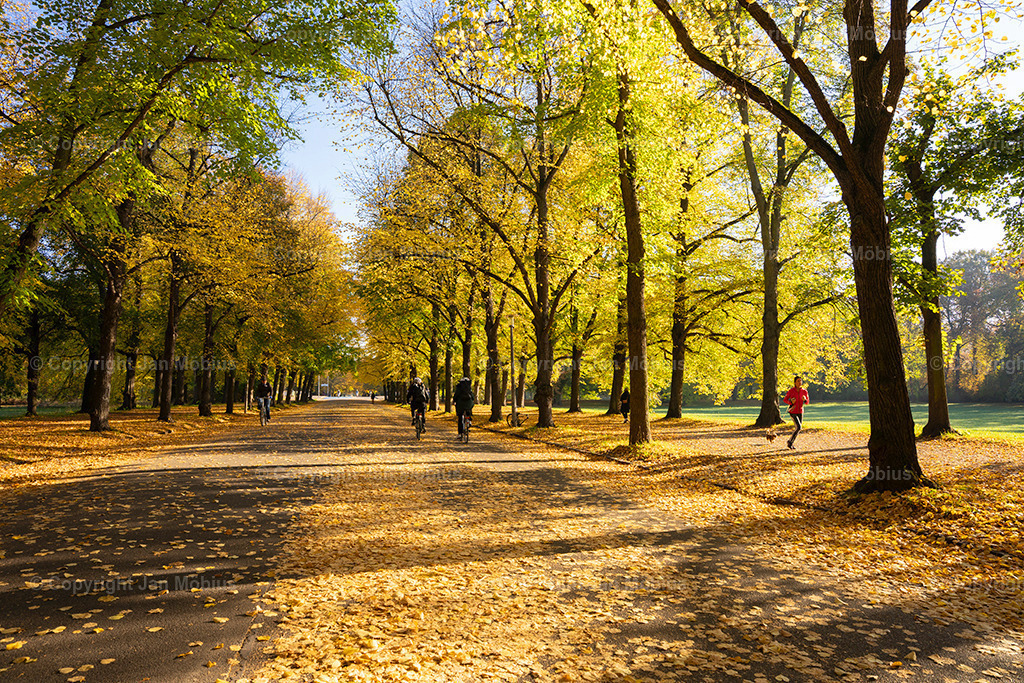 _DSC7234 | Leipzig Wandbilder Drucke Prints Leinwand Stadtmotive Leipzig Fotosdruck Kunstdrucke Bilder Leipzig Stadtansichten Acrylglasbilder Leipzig Wanddeko Fine Art Prints Wandbilder Büro Leipzig Bilder Praxis Zuhause Bilderdruck Poster Posterlounge Kunstdrucke - Realisiert mit Pictrs.com