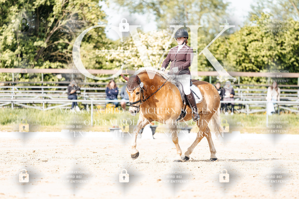 CK900218 | Turnierfotografie Pferdefotografie Trier Rheinland-Pfalz Pferdesport Reitsport Tierfotografie Sportfotografie Pferdevideo Pferdevideografie Equestrianvideography equestrianphotography  - Realisiert mit Pictrs.com