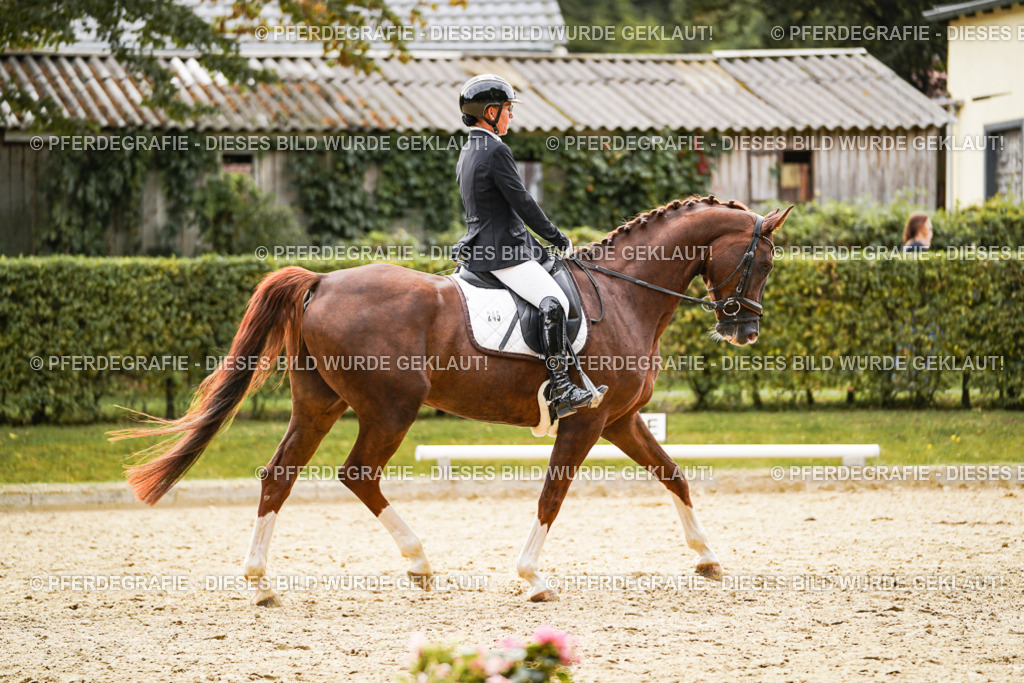 DSC01531 | Pferdegrafie