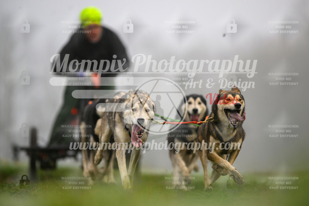 MompixPhotography_CDF2023_FFST_Di_Kart-77 | PayLife