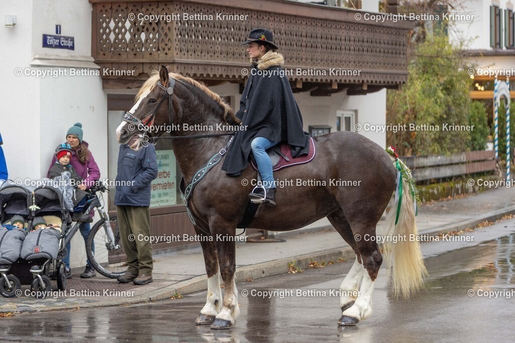 LL25-312 | foto-bettina-krinner - Realisiert mit Pictrs.com