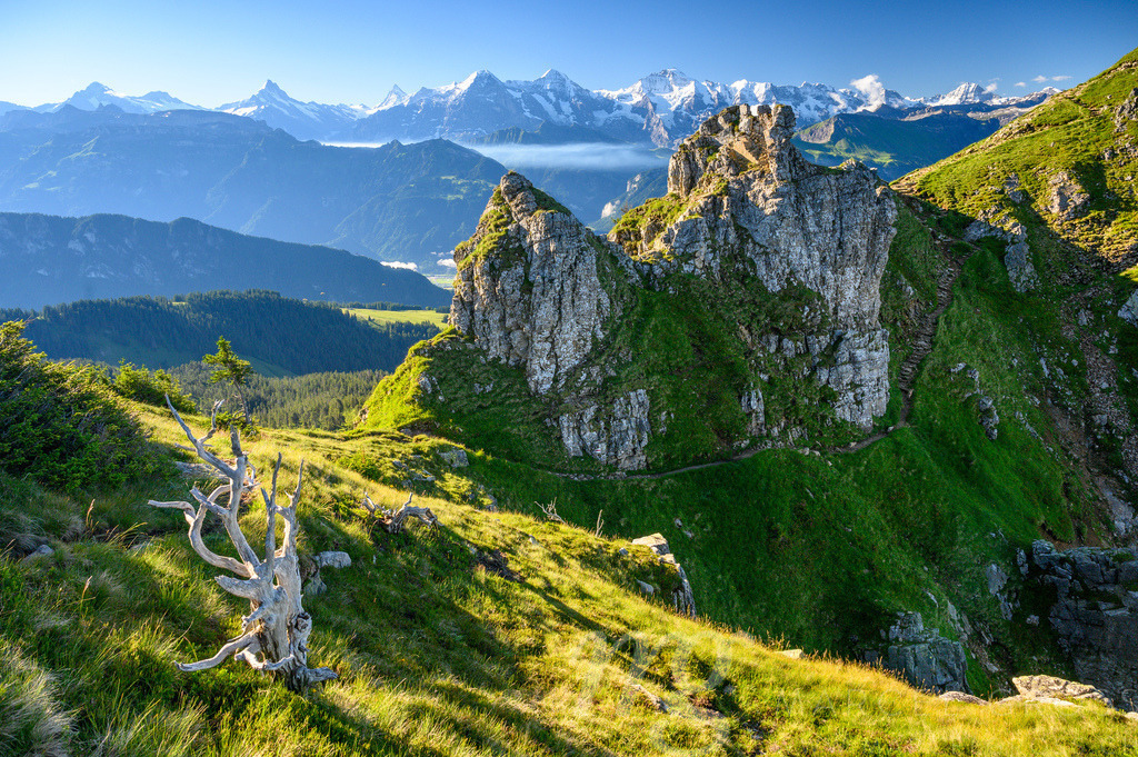 20220625-Niederhorn-0869 | Die ideale Geschenkidee für Naturliebhaber. Naturbilder von Marcel Gross Photography für ihr Zuhause in den verschiedensten Formaten und Materialien. - Realisiert mit Pictrs.com