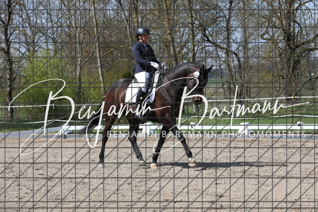 AZ2A5448 | Benjamin Bartmann Photomoments