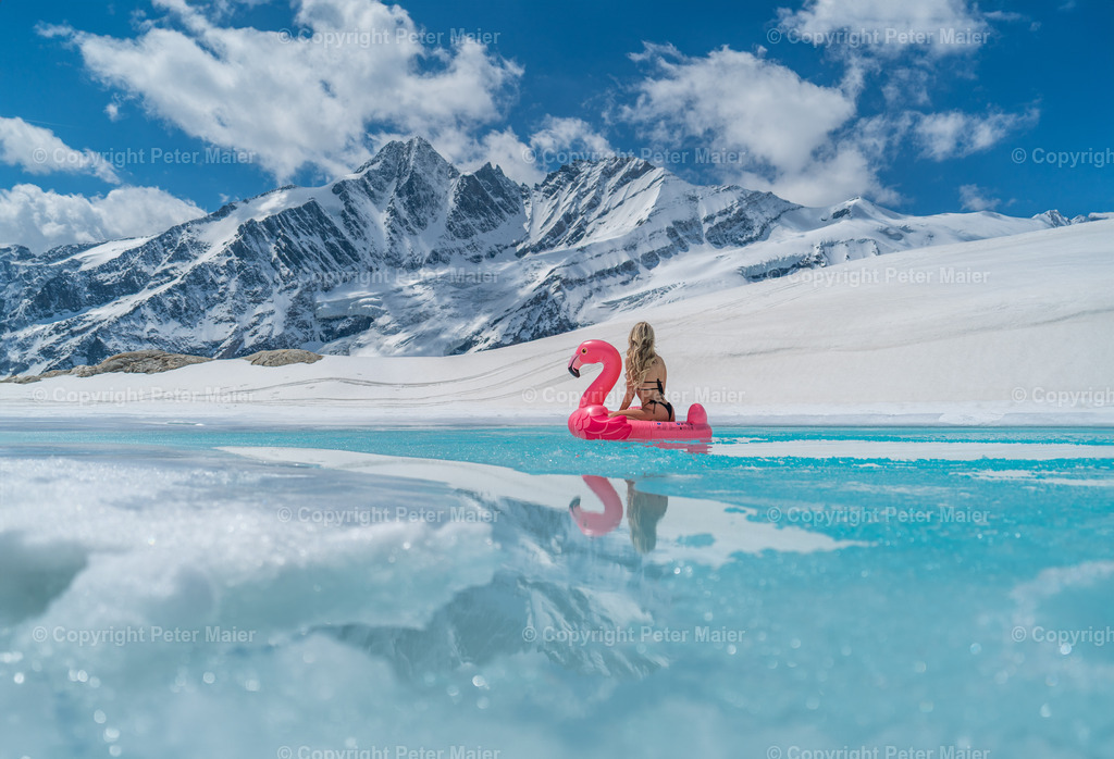 Flamingo_Gletscher-760 | piet_flosse