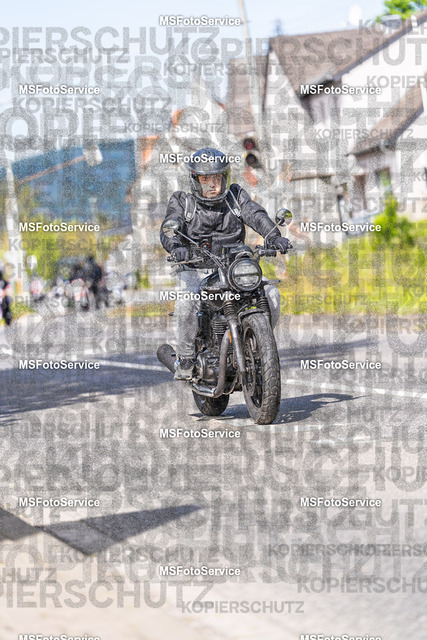 MSFotoService-189 | MSFotoService - Realisiert mit Pictrs.com