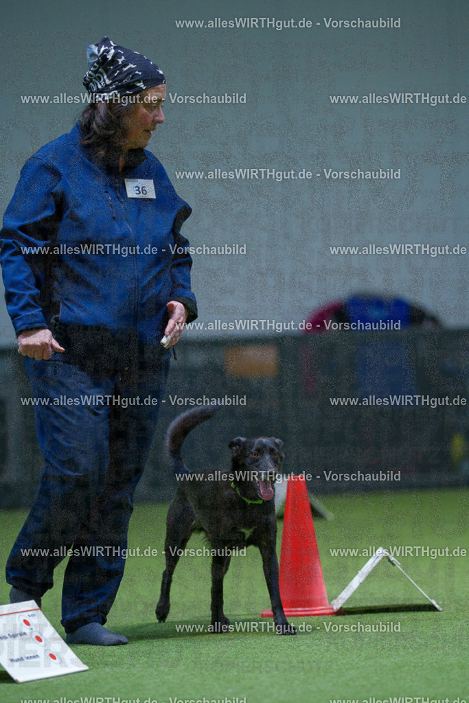 7R505977 | Professionelle Tierfotografie in Mönchengladbach von Daniel Wirth (allesWIRTHgut). Liebevolle & natürliche Bilder von Hunden & Katzen für unvergessliche Erinnerungen.