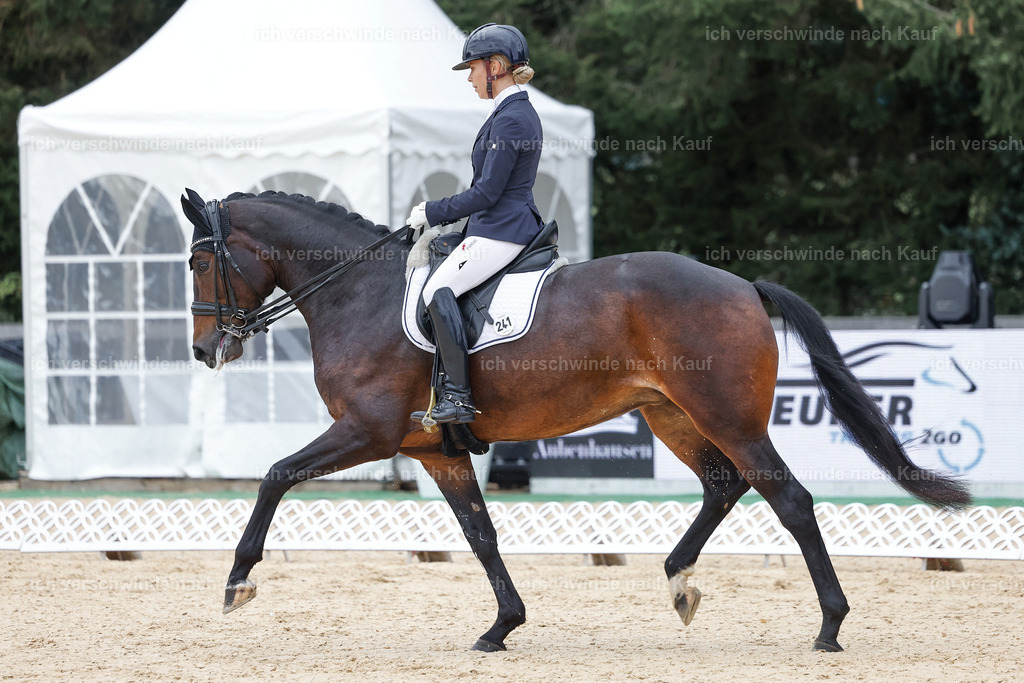 3-241-Dressur M_-StoibPH-2348 | working equitationturnier fotograf videograf stoibphotography marixx film working equitation deutschland reitsport turnierfotografie eventfotografie equestrian events