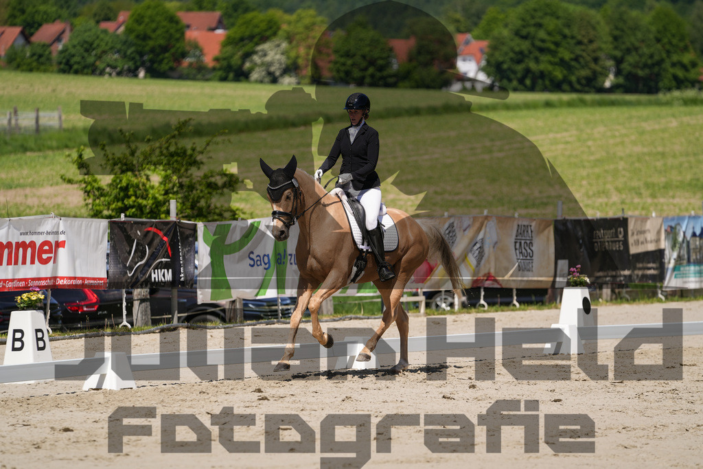 DSC00231 | Julian Held Fotografie - Realisiert mit Pictrs.com