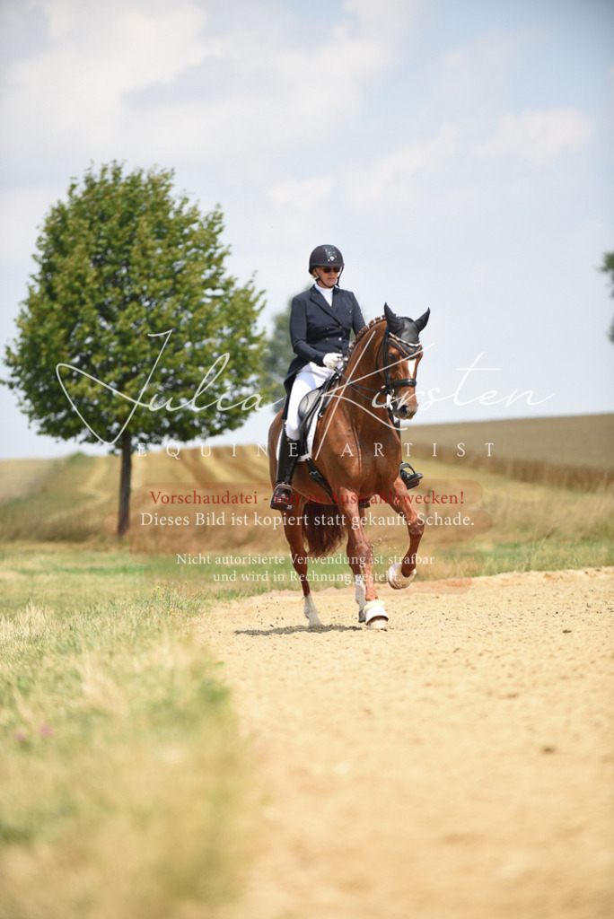 DSC_4286 | Pferde- und Turnierfotografie in Westsachsen. Pferdeportraits, Auftragszeichnungen und intuitive Kunst.