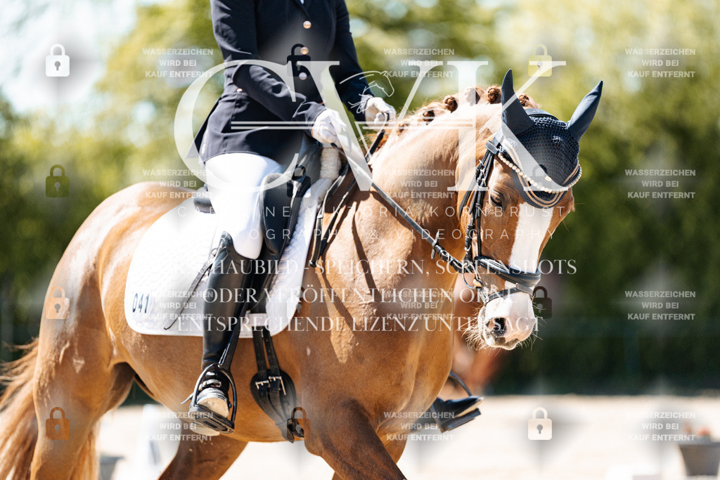 CK905640 | Turnierfotografie Pferdefotografie Trier Rheinland-Pfalz Pferdesport Reitsport Tierfotografie Sportfotografie Pferdevideo Pferdevideografie Equestrianvideography equestrianphotography  - Realisiert mit Pictrs.com