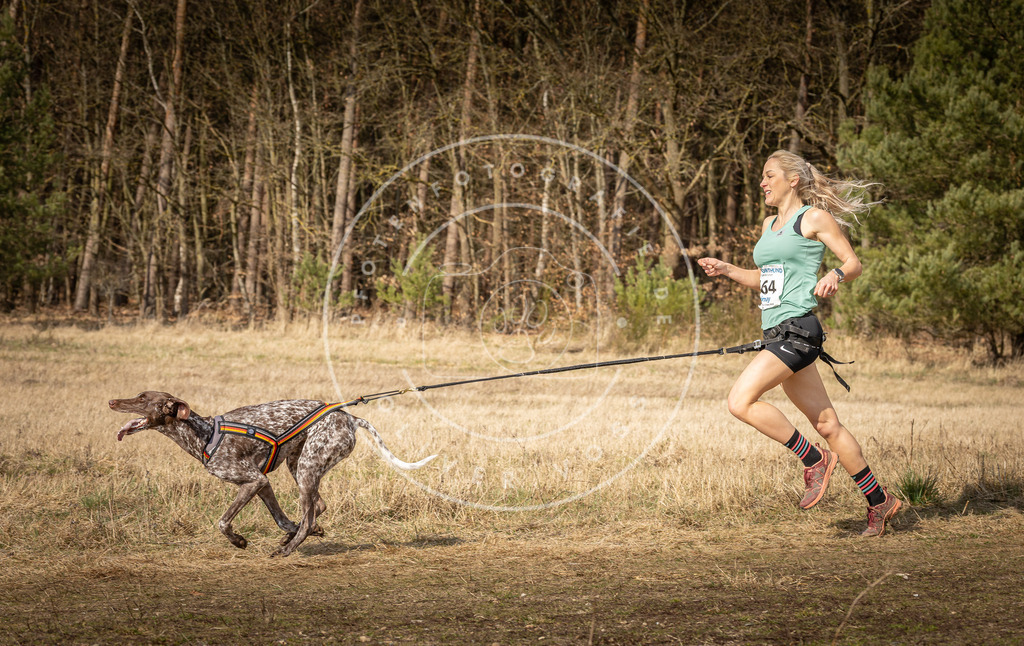 DV3A5614 | Hundefotografie, Tierfotograf, Pfotenfotografie, Fotoshooting Hund, Hunde Portrait, Hundesport, Hundeportraits, Heideshooting, Hunde, Sportfotograf, Hundefotograf, Turnierhundsport, THS,  - Realisiert mit Pictrs.com