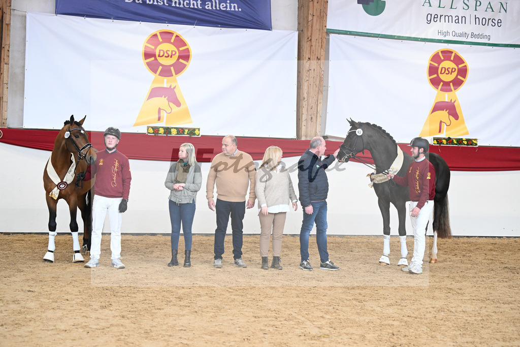 Siegerhengste Dressur und Springen_2252131 | hf-fotografie - Realizzato con Pictrs.com