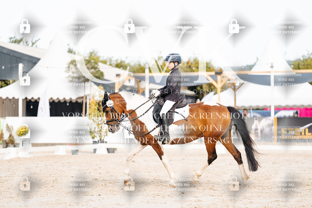 CK904727 | Turnierfotografie Pferdefotografie Trier Rheinland-Pfalz Pferdesport Reitsport Tierfotografie Sportfotografie Pferdevideo Pferdevideografie Equestrianvideography equestrianphotography  - Realisiert mit Pictrs.com