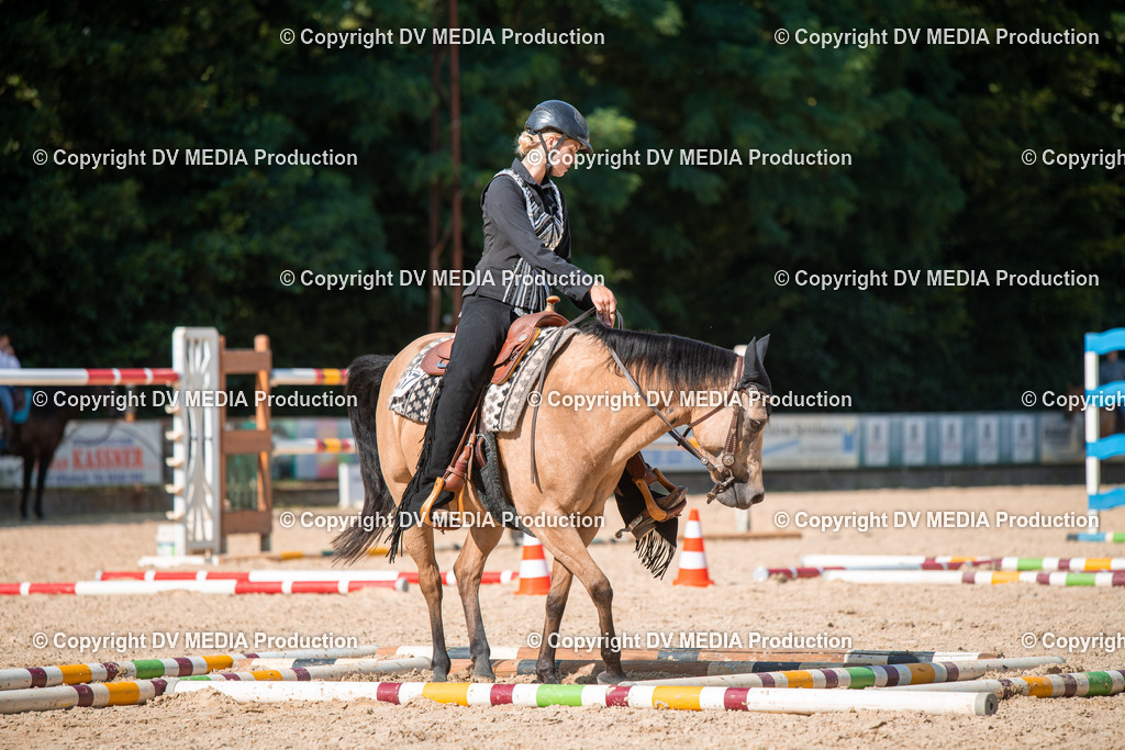 EWP_6951 | dv-media-shop - Realisiert mit Pictrs.com