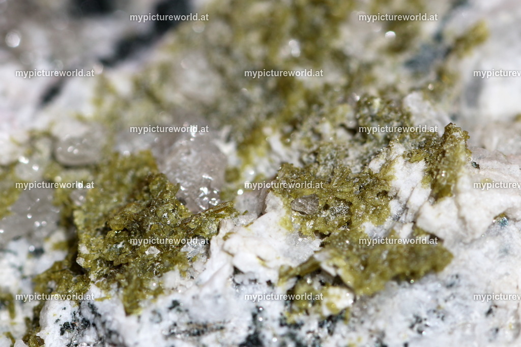 Epidot-002 | Das Bilderarchiv über Tiere, Planzen und Landschaften. In der Bilddatenbank finden Sie ein große Auswahl an hochwertigen Bilder für Ihre Werbung - Realisiert mit Pictrs.com