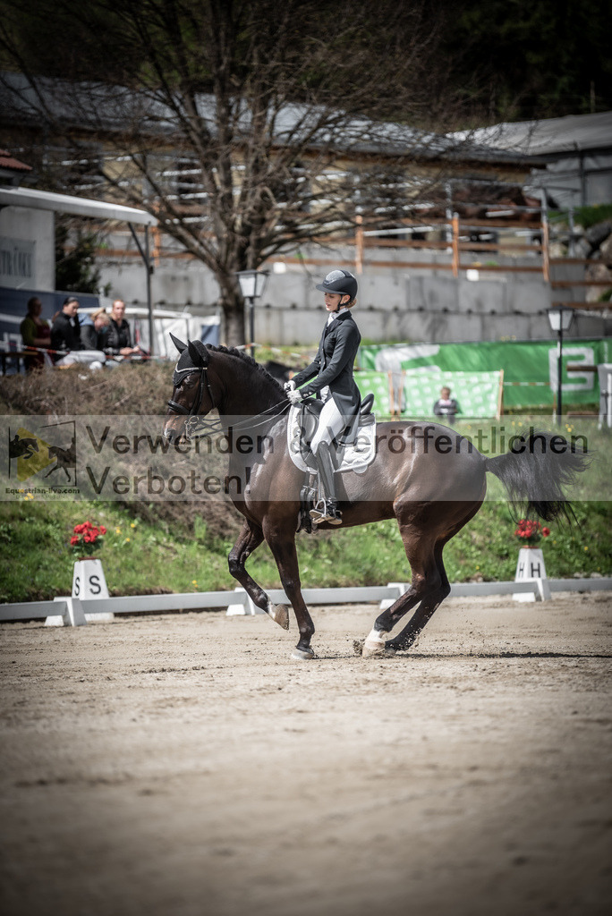DSC_2313 | equestrian-live-com