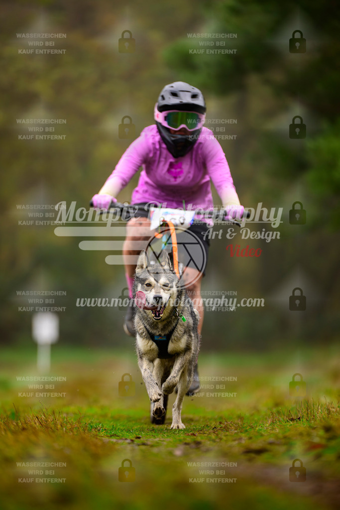 MompixPhotography_Bischwiller2025_Bike-83 | mompixphotography