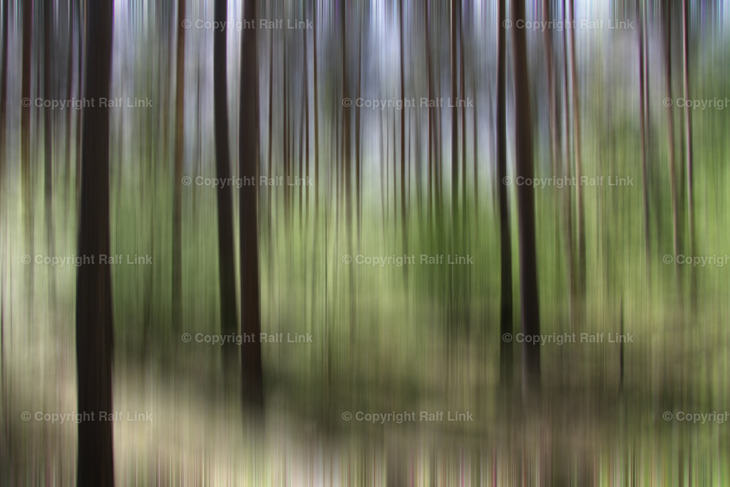 Bäume unscharf Sommer | Stockfotos, Fotos mit Miniaturfiguren und kreativen Ideen. Dabei auch vieles aus der Metropolregion Rhein-Neckar. 