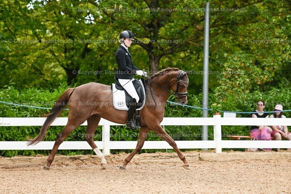 20230715_07_Dressurpferdeprfg. Kl.L_0050 | equistock