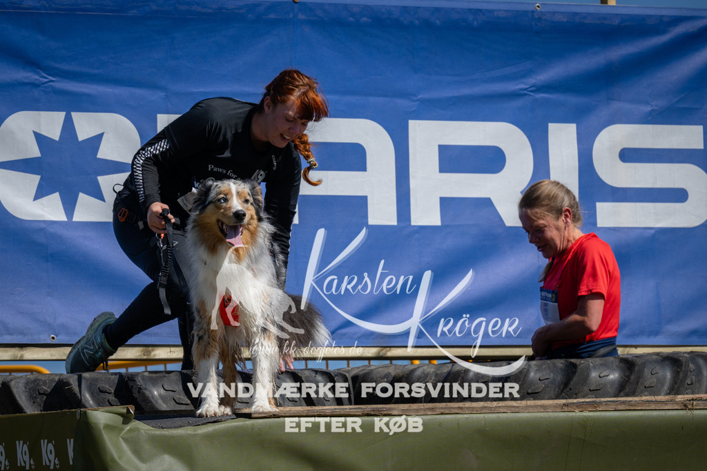 1158_ZZ93118 | kk-dogfotos