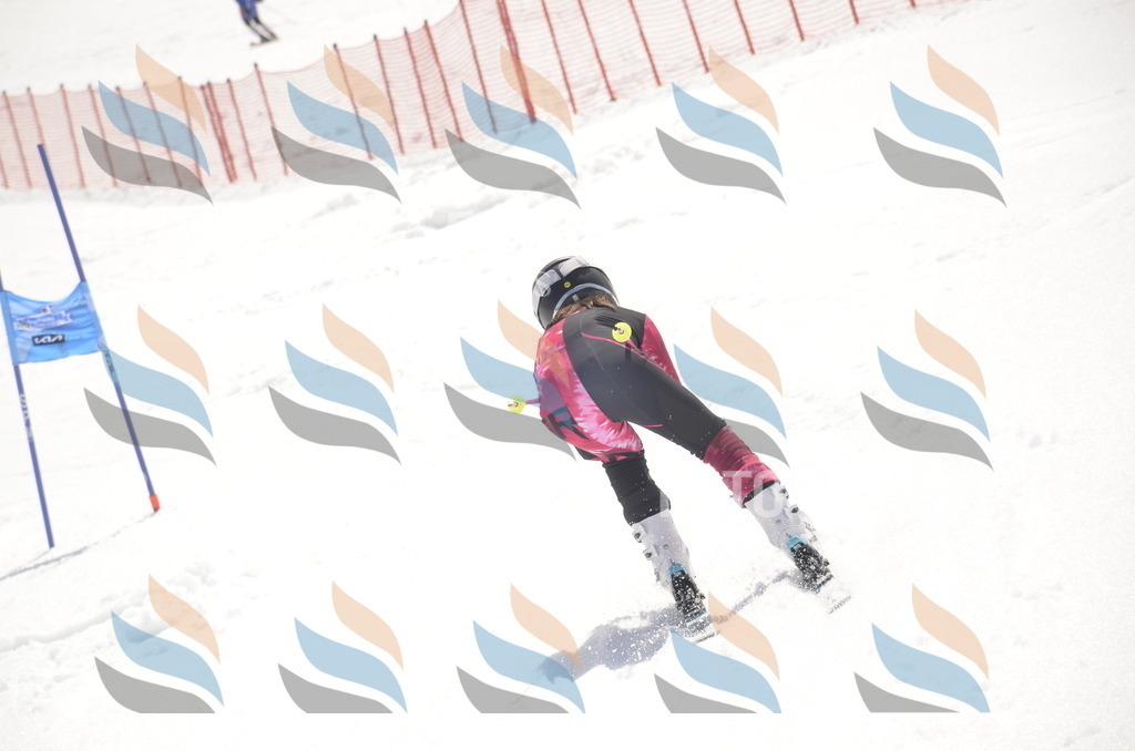 _ELE9371 | holidayphoto