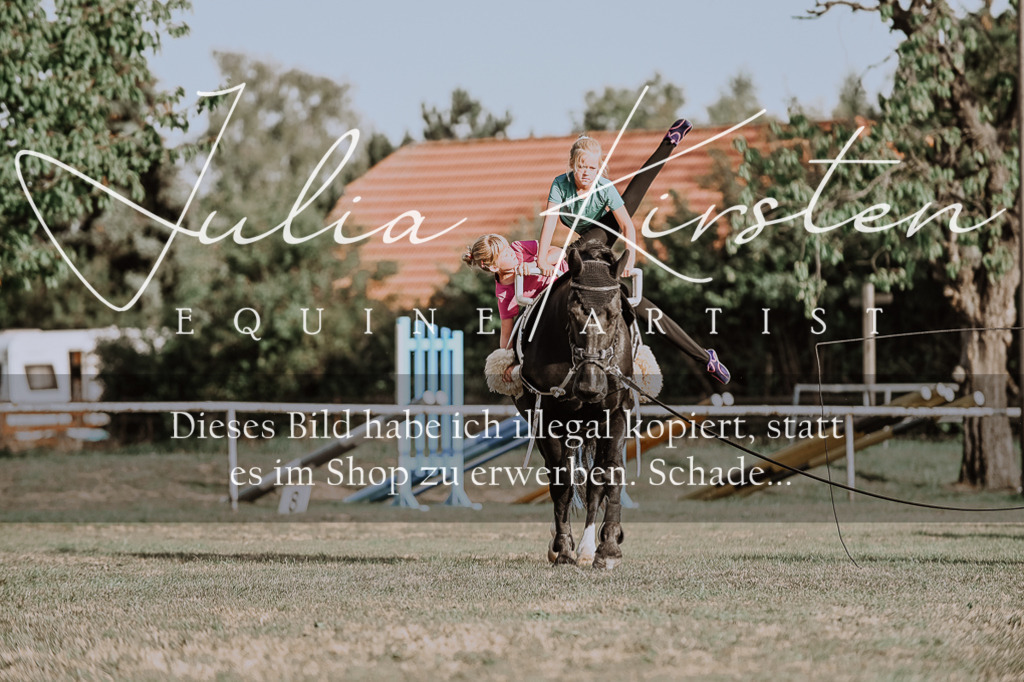 DSC_9946 | Pferde- und Turnierfotografie in Westsachsen. Pferdeportraits, Auftragszeichnungen und intuitive Kunst.