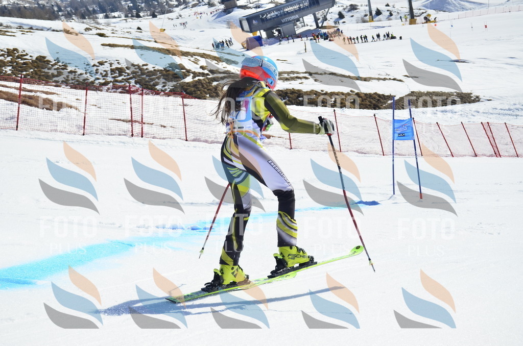 _ELE0111 | holidayphoto