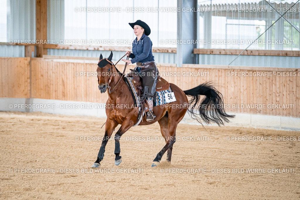 DSC08503 | Pferdegrafie