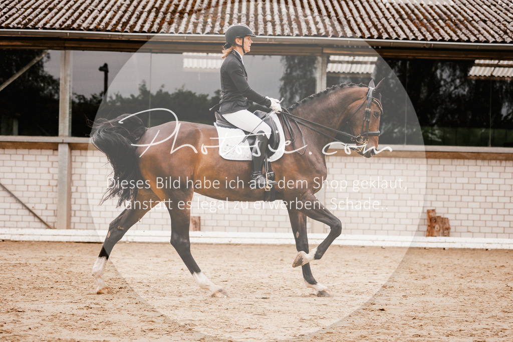 3I6A7817 | Stimmungsvolle Portraits und Reitsportfotografie im Ruhrgebiet und im Münsterland.

Pferdefotografie, Hundefotografie, Tierfotografie, Reportagen, Portraits von Tier und Mensch, Turnierfotografie in Bochum, Recklinghausen, Marl, Haltern am See, Dülmen.. - Realisiert mit Pictrs.com