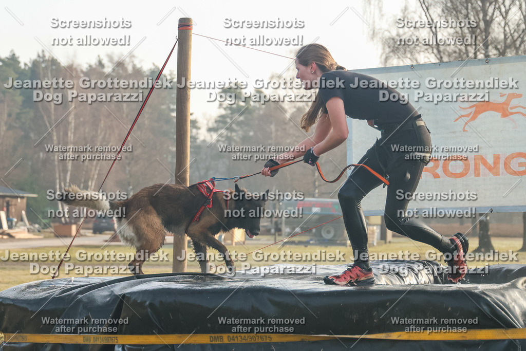 Dog Paparazzi - SD North 0326 Sa8-830-5 | Dog Paparazzi Jeanette Grottendiek Fotografie & Videografie - Realisiert mit Pictrs.com