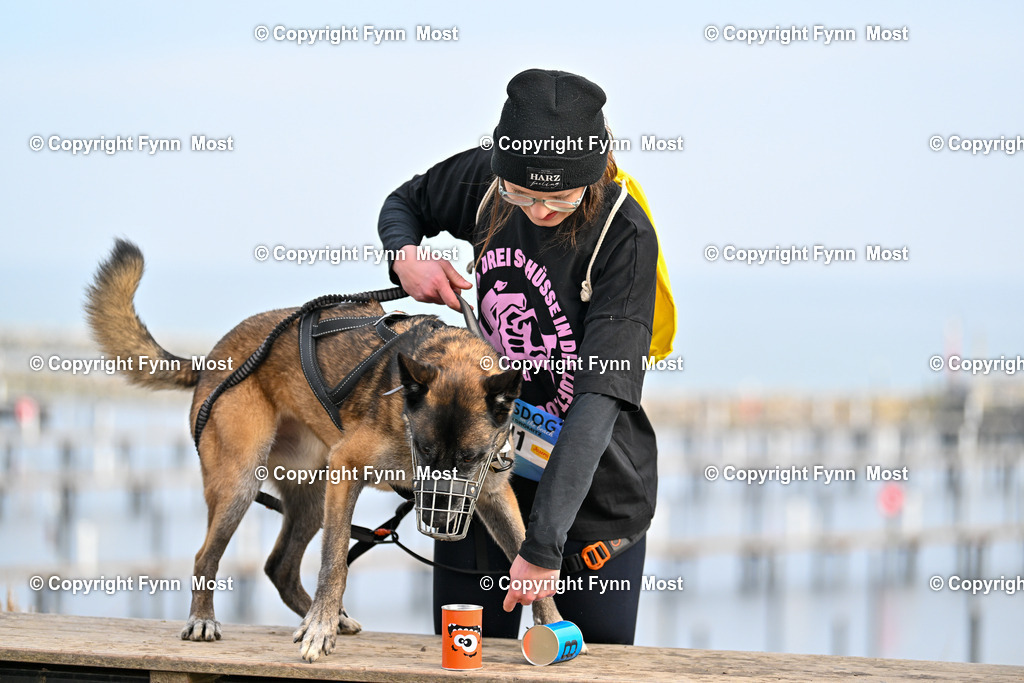 DSC_4931 | Hallo und herzlich Willkommen auf meiner Shop-Seite Fynn Most.

Ich wünsche Dir viel Spaß beim stöbern durch die Bilder, wenn Du Fragen hast oder Bilder vermisst, kannst du mir gerne eine Nachricht schreiben. - Realisiert mit Pictrs.com