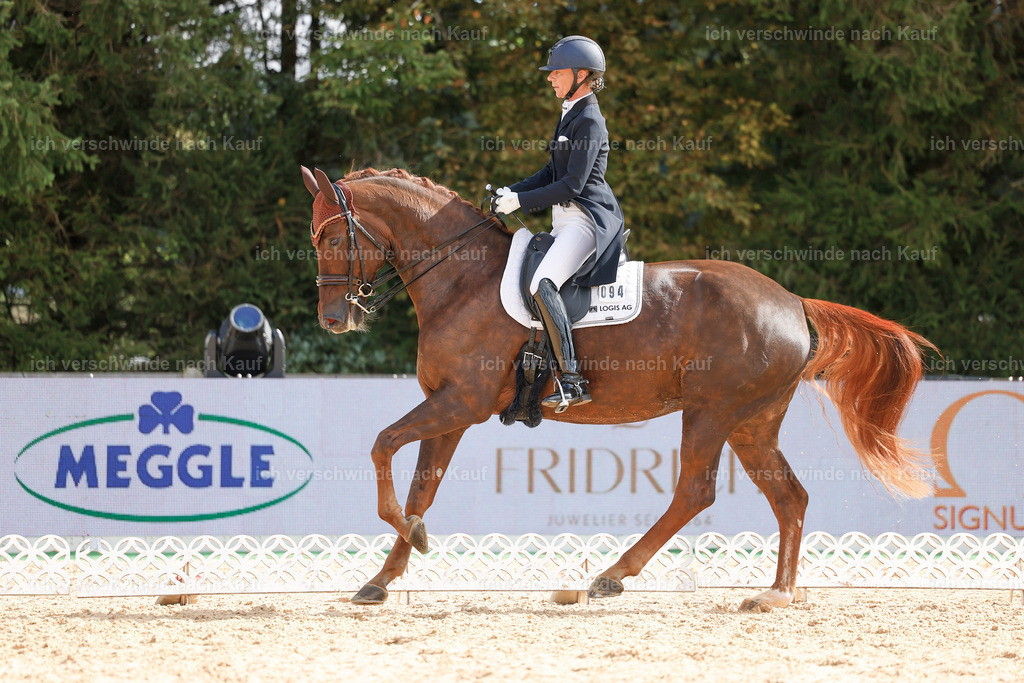 09_2-094-DRESSUR  S_  -StoibPH-5859 | working equitationturnier fotograf videograf stoibphotography marixx film working equitation deutschland reitsport turnierfotografie eventfotografie equestrian events