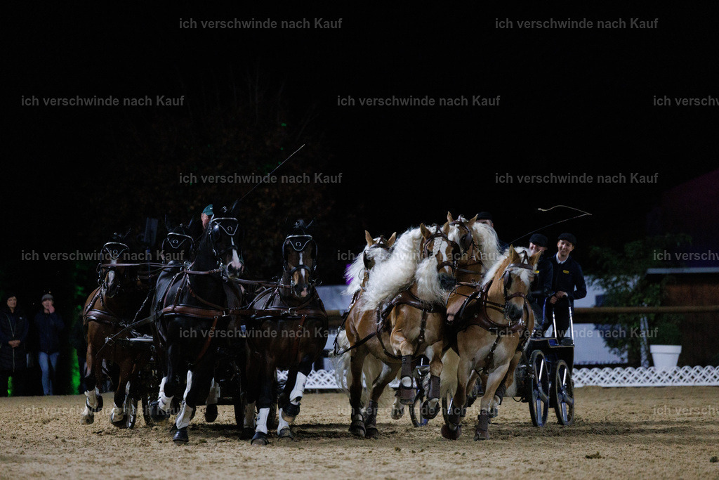FHClassics-303 | working equitationturnier fotograf videograf stoibphotography marixx film working equitation deutschland reitsport turnierfotografie eventfotografie equestrian events