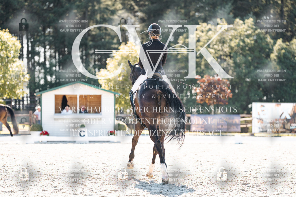 CK905805 | Turnierfotografie Pferdefotografie Trier Rheinland-Pfalz Pferdesport Reitsport Tierfotografie Sportfotografie Pferdevideo Pferdevideografie Equestrianvideography equestrianphotography  - Realisiert mit Pictrs.com