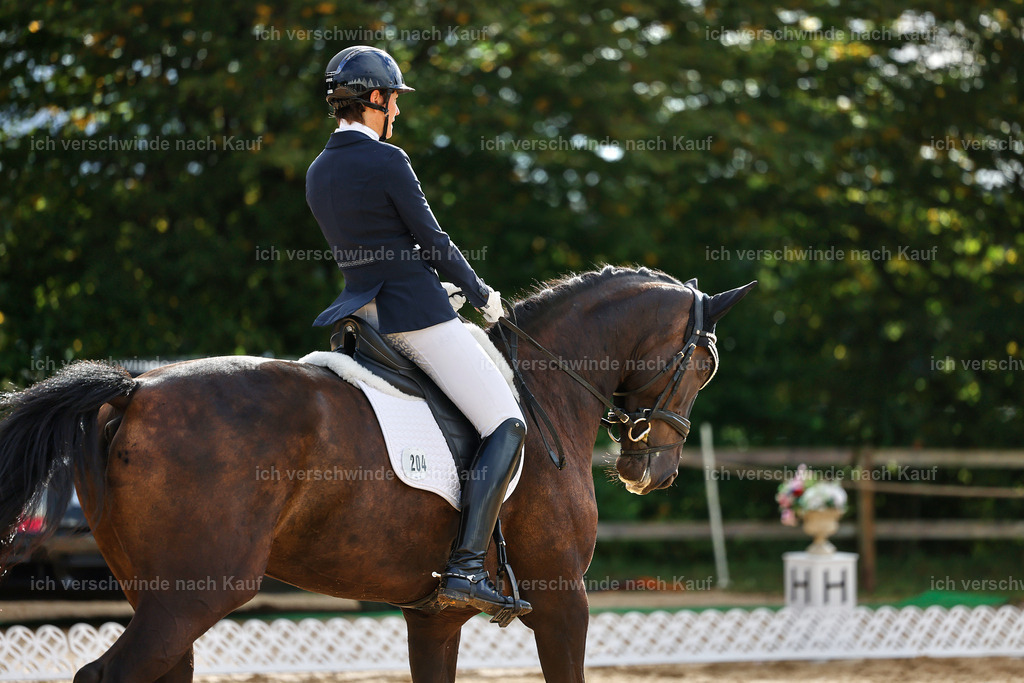 02-204-DRESSUR L_  -StoibPH-4792 | working equitationturnier fotograf videograf stoibphotography marixx film working equitation deutschland reitsport turnierfotografie eventfotografie equestrian events