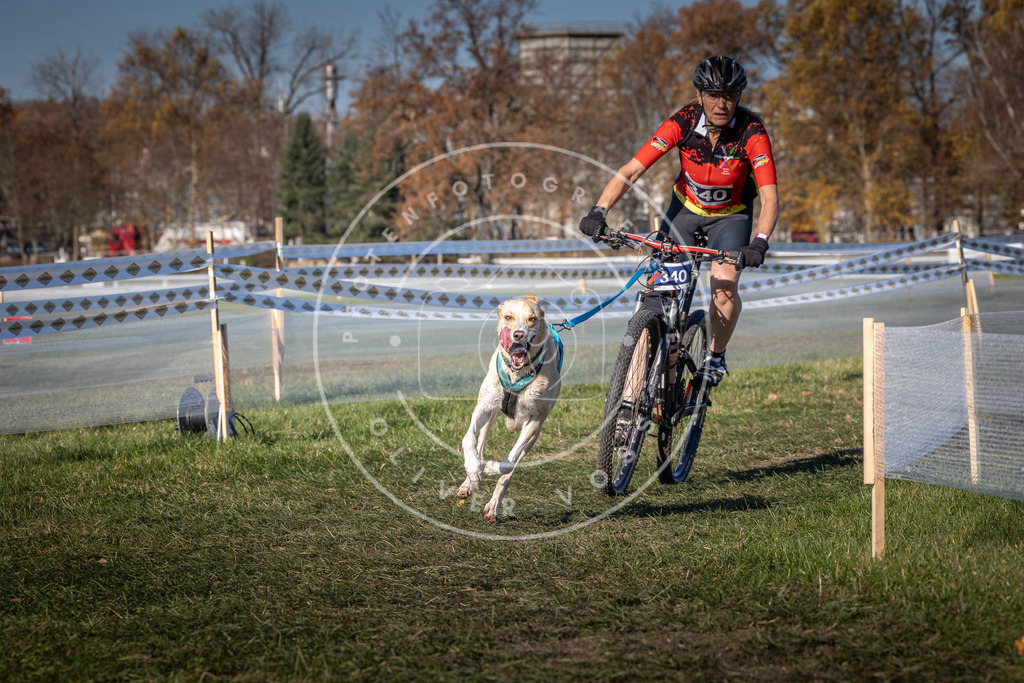 CaniXpix_0L8A5897 | Hundefotografie, Tierfotograf, Pfotenfotografie, Fotoshooting Hund, Hunde Portrait, Hundesport, Hundeportraits, Heideshooting, Hunde, Sportfotograf, Hundefotograf, Turnierhundsport, THS,  - Realisiert mit Pictrs.com