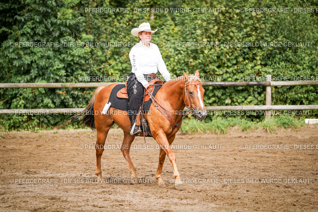 DSC09178 | Pferdegrafie