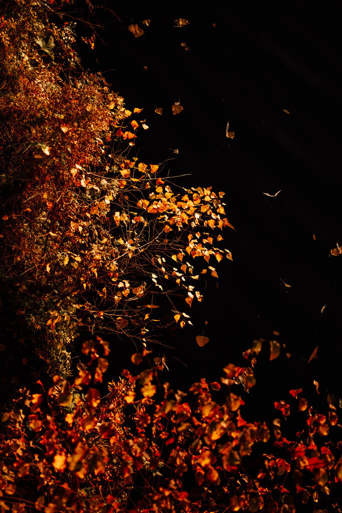 Herbst | Print Shop 
Fotografie
Posterdruck
Landschaftsfotografie
Reisefotografie
Naturfotografie
Anja Brandes Poster 
Anja Brandes Photography 
Prints for Walls 
Printable 
Posterdrucke
Poster aesthetic 
Poster Wall 
Poster Prints 
Poster schwarz weiß - Realisiert mit Pictrs.com