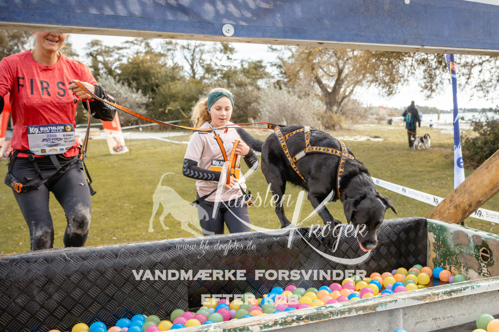 1353_ZZ92643-2 | kk-dogfotos