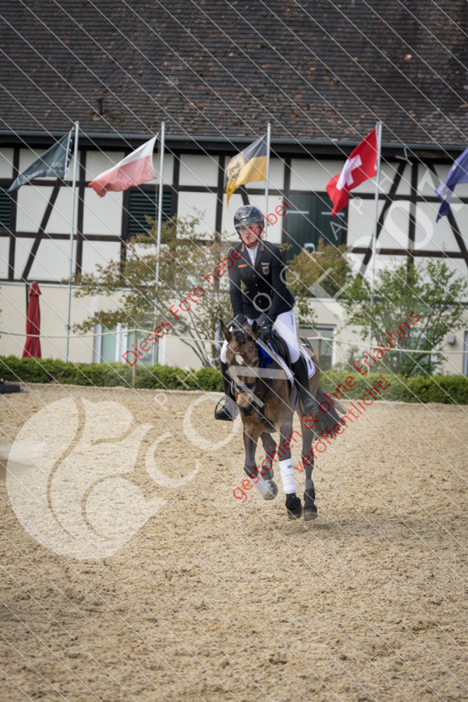 CON_0543 | Sport-, Event- und Tierfotos in Profiqualität. Einfach auswählen, bestellen und herunterladen. Dein Moment – perfekt festgehalten.